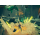 PlayStation Cloudheim - 1533909 - zdjęcie 3